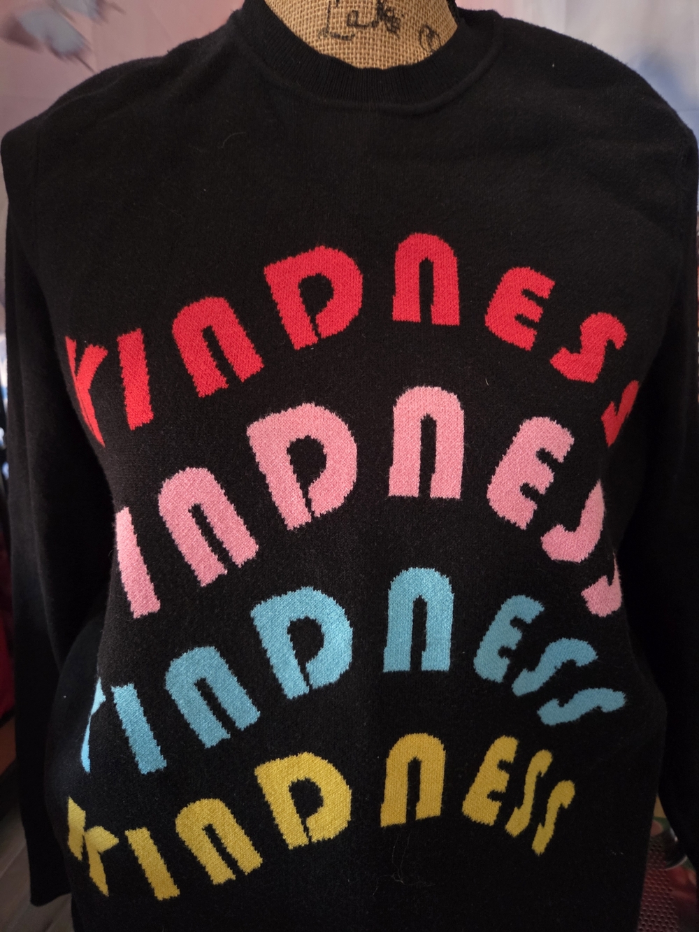 🍍Abbott Elementary Sweater